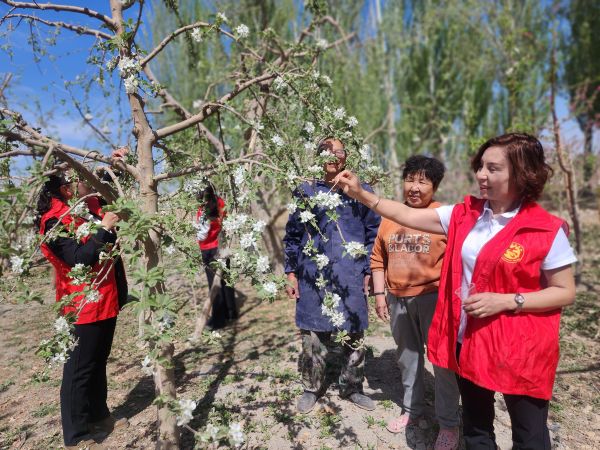 04161744805148706580.jpg 6c598d0c1e11559e8d043ac403b965d.jpg