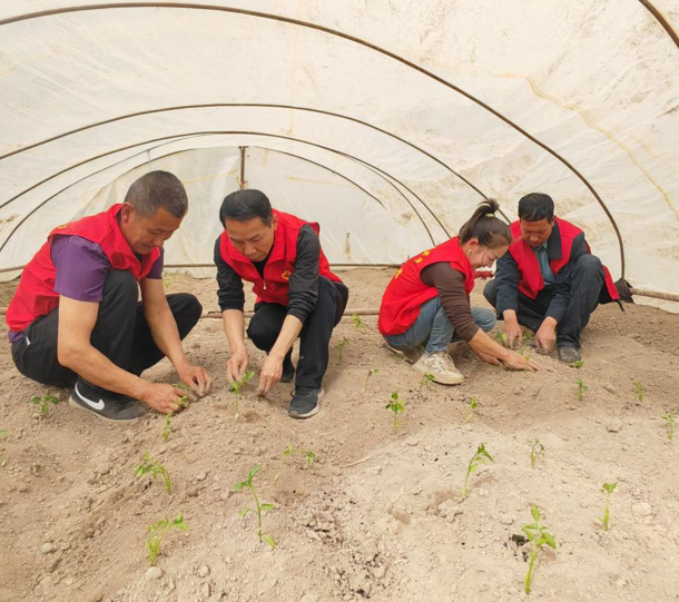 屏幕截图 2025-04-16 203114.png