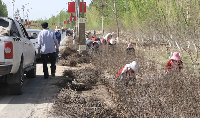 04171744894763780534.png 屏幕截图 2025-04-17 205839.png