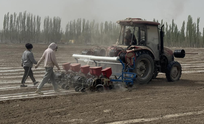 04171744894844367696.png 屏幕截图 2025-04-17 210019.png