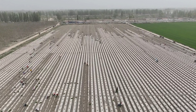 04181744977193105166.png 屏幕截图 2025-04-18 195239.png