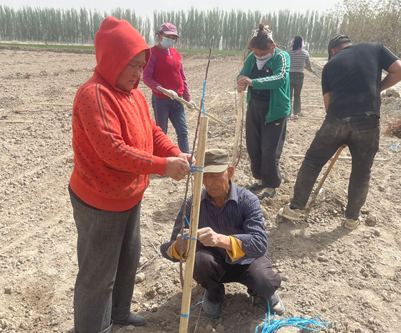 屏幕截图 2025-04-18 195508.png