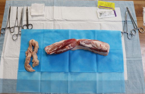 04181744979955633527.jpg IMG_7567.JPG