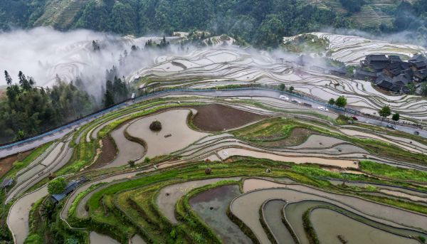 2025年4月20日，在贵州省黔东南苗族侗族自治州从江县加榜乡加车村拍摄的梯田景色。 (14).jpg