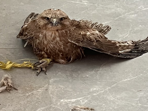 屏幕截图 2025-04-21 201202.png