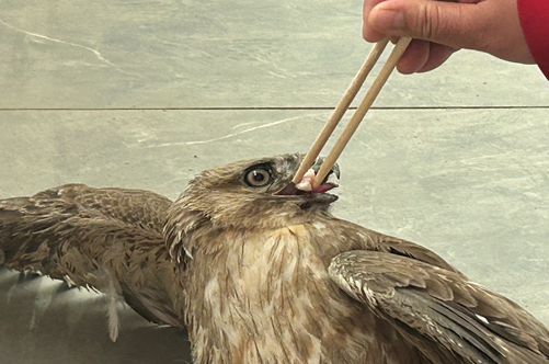 屏幕截图 2025-04-21 201206.png