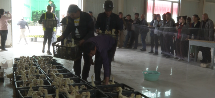 屏幕截图 2025-04-21 201632.png