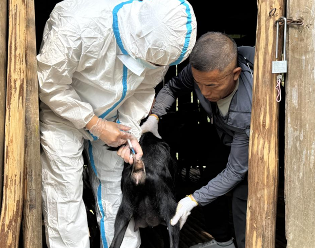 屏幕截图 2025-04-21 204047.png