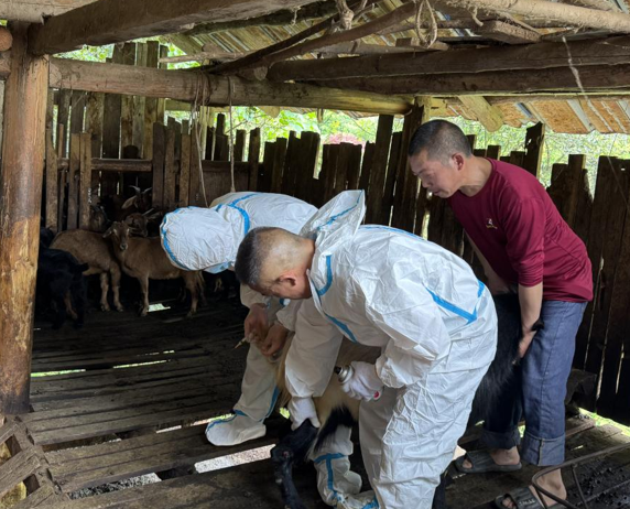 屏幕截图 2025-04-21 204050.png