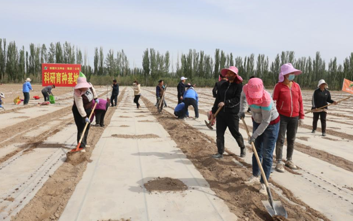 屏幕截图 2025-04-22 202521.png