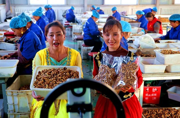 屏幕截图 2025-04-22 215232.png