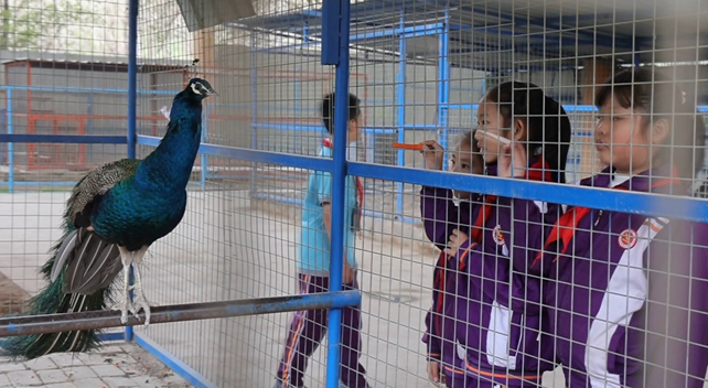 屏幕截图 2025-04-23 161102.png