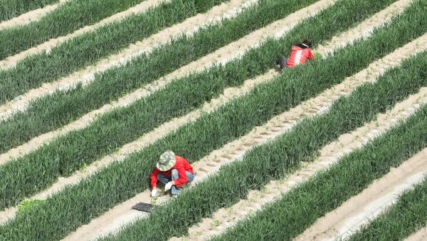 04241745498216651401.jpg 微信图片_20250424182826.jpg