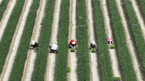 04241745498221283571.jpg 微信图片_20250424182835.jpg