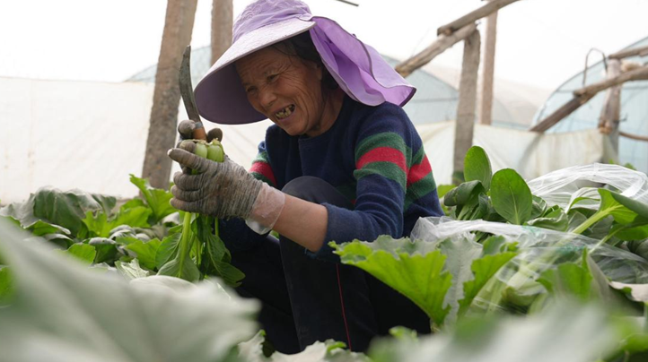 04251745577642759603.png 屏幕截图 2025-04-25 184006.png