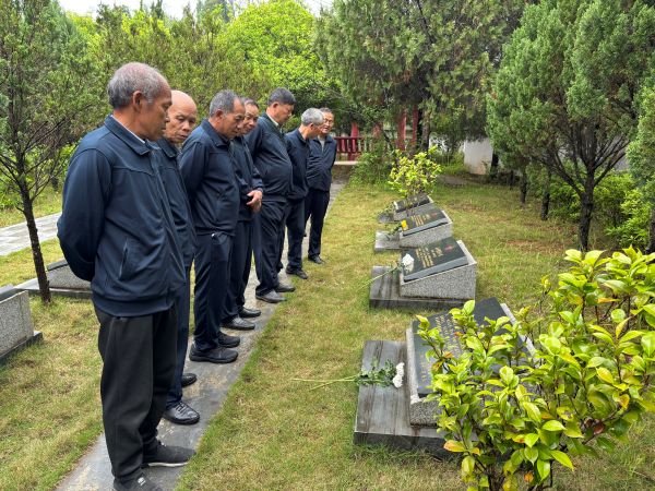 图为  在县烈士陵园瞻仰纪念碑现场（吴先红  摄）.jpg