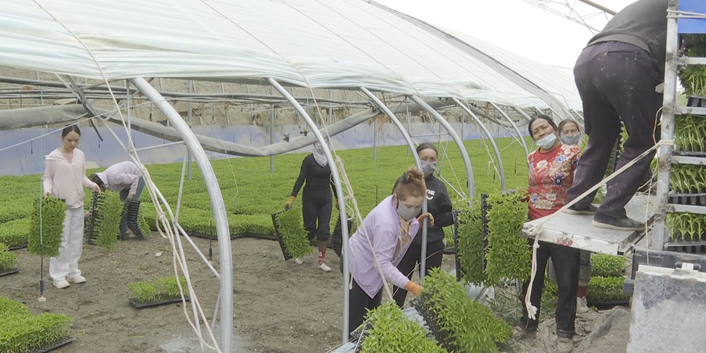 屏幕截图 2025-04-28 205244.png