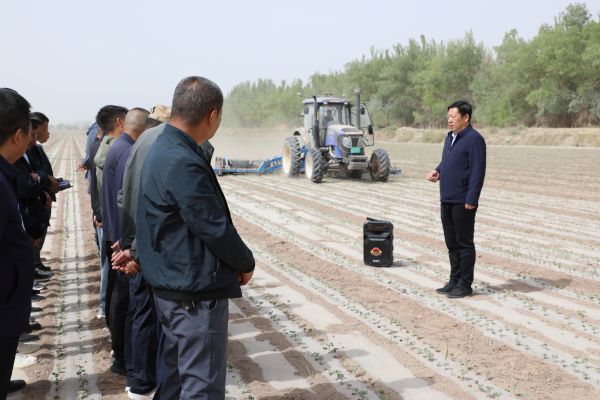 04281745848086644415.jpg IMGS9545.JPG