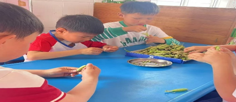 屏幕截图 2025-04-30 200704.png