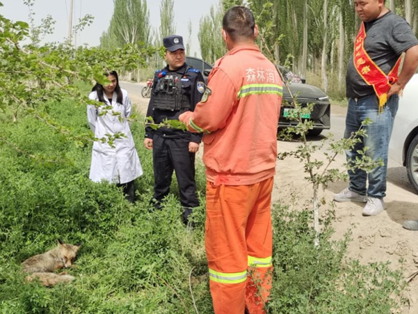 屏幕截图 2025-04-30 203856.png