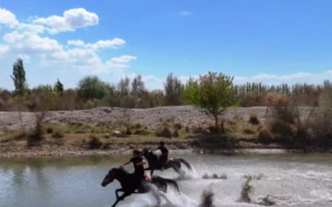 05061746541337694449.png 屏幕截图 2025-05-06 222208.png