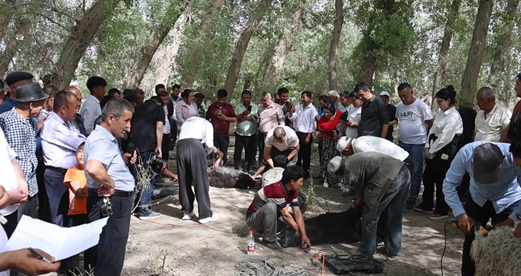 屏幕截图 2025-05-07 190059.png