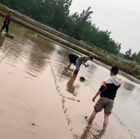 屏幕截图 2025-05-13 171757.png