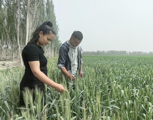 屏幕截图 2025-05-13 180021.png