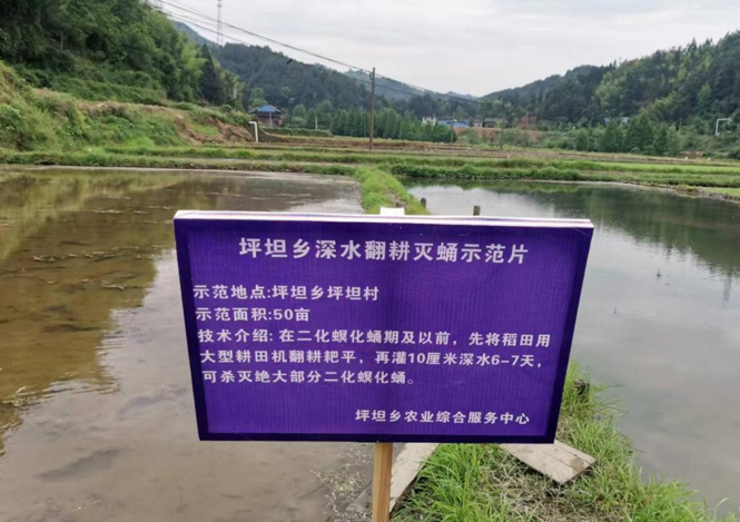 屏幕截图 2025-05-19 203149.png