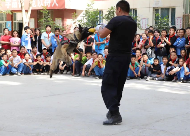 屏幕截图 2025-05-20 170609.png