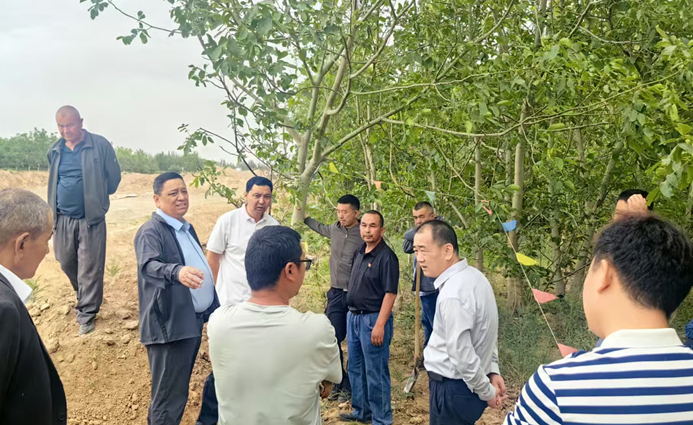 05221747909344872787.png 屏幕截图 2025-05-22 182108.png