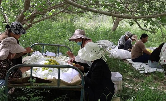 屏幕截图 2025-05-23 185127.png