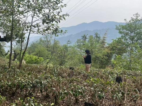 05231748000448331108.jpg 微信图片_20250523093408.jpg