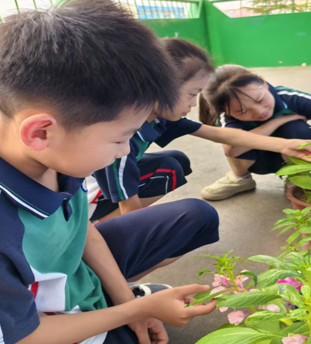 屏幕截图 2025-05-27 193534.png