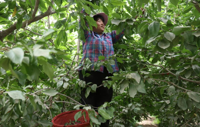 05301748601073154899.png 屏幕截图 2025-05-30 183017.png