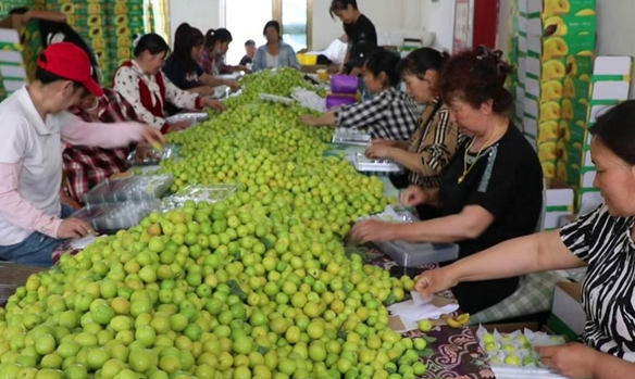 屏幕截图 2025-06-03 202456.png