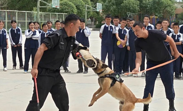 屏幕截图 2025-06-04 200129.png