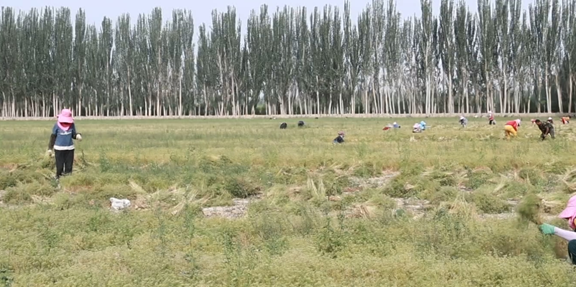 屏幕截图 2025-06-05 231555.png