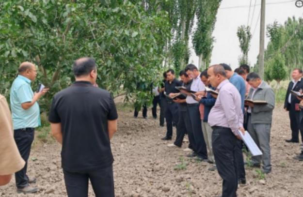 屏幕截图 2025-06-05 234809.png