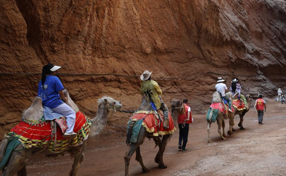 屏幕截图 2025-06-11 184317.png