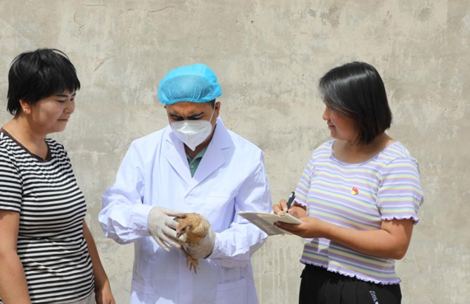 屏幕截图 2025-06-13 191140.png