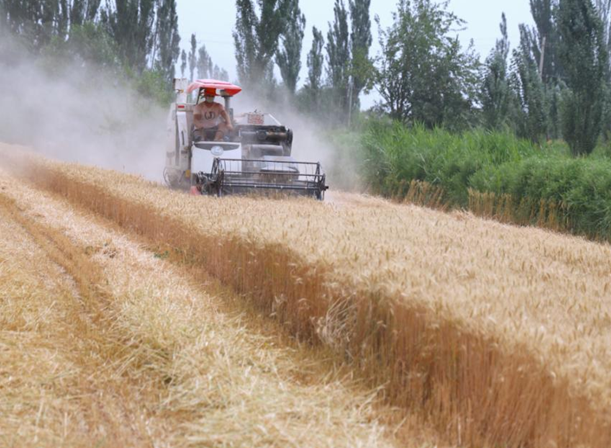 屏幕截图 2025-06-16 193353.png