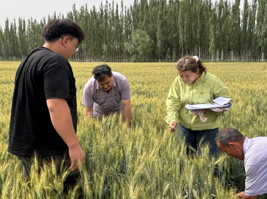 屏幕截图 2025-06-17 165102.png