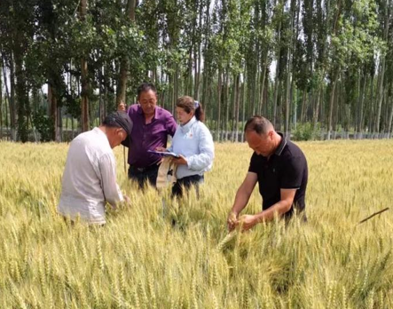 屏幕截图 2025-06-17 165105.png