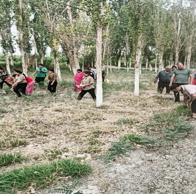 屏幕截图 2025-06-18 192242.png