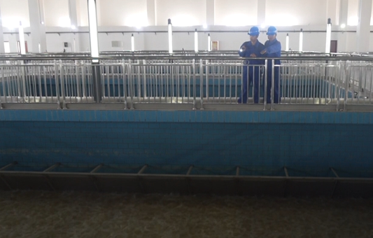 屏幕截图 2025-06-18 193649.png