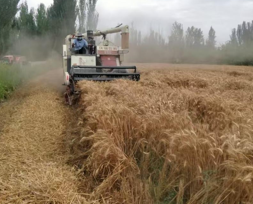 屏幕截图 2025-06-27 185203.png