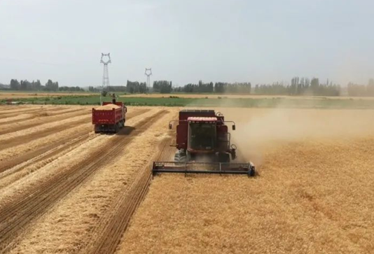 屏幕截图 2025-06-27 190426.png