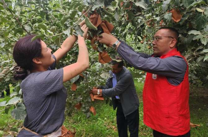 06281751068111957549.png screenshot-1751068020032.png