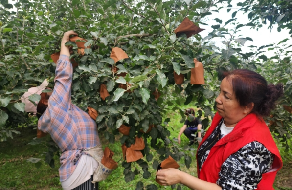 06281751068145375893.png screenshot-1751068076615.png